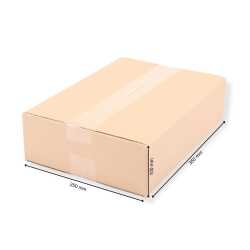 350 x 250 x 100 mm Karton 1-wellig 1.02 B-Welle 75 Stück