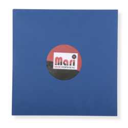 Blaue Innenhüllen für Langspielplatten Maxi...