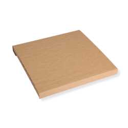 LP Versandkarton für 3-6 Schallplatten 325 x 325 x 20 mm 100 Stück