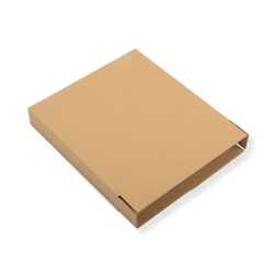 12 Zoll LP Versandkartons für 1-15 Vinyl LP 325x55x325 mm Maxi Schallplatten extra stark