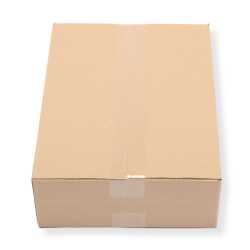 360 x 260 x 100 mm Karton 1-wellig 1.02 B-Welle 50 Stück