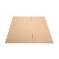 800 x 600 x 600 mm Karton 2-wellig 2.40 BC-Welle 1 Stück