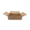 900 x 600 x 250 mm Karton 1-wellig 1.30 B-Welle