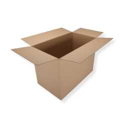 780 x 450 x 574 mm Karton 2-wellig 2.03 BE-Welle
