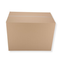 780 x 450 x 574 mm Karton 2-wellig 2.03 BE-Welle 2 Stück