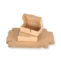 Maxibriefkarton 160 x 110 x 50 mm DIN A6 braun 20 Stück