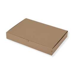 Maxibriefkarton 320 x 225 x 50 mm DIN A4 braun