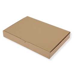 Maxibriefkarton 350 x 250 x 50 mm DIN A4 braun