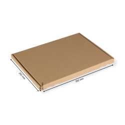 Großbriefkarton 350 x 250 x 20 mm DIN A4 braun 100 Stück