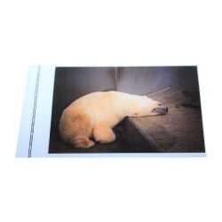 Schutzhülle Fotoformat, 9 x 13 cm, Klappe mit...