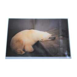 Schutzhülle Fotoformat, 9 x 13 cm, Klappe mit Klebeverschluss, transparent