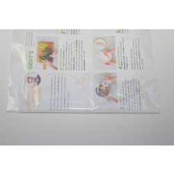 Beutel A4, 234 x 324 mm + 30 mm Klappe mit Klebeverschluss, transparent