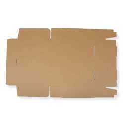 Karton 350 x 250 x 80 mm mit Seitenverschluss DHL...