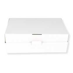 Karton 350 x 250 x 80 mm mit Seitenverschluss DHL Kleinpaket weiß 50 Stück
