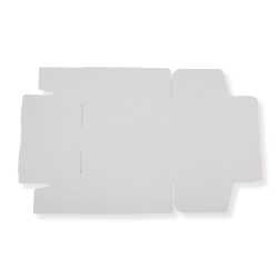 Versandkarton 240 x 160 x 80 mm geeignet für DHL...