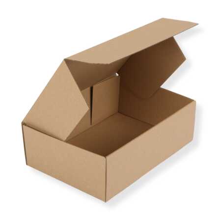 Versandkarton 240 x 160 x 80 mm geeignet für DHL Kleinpaket braun
